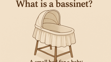 What is a bassinet
